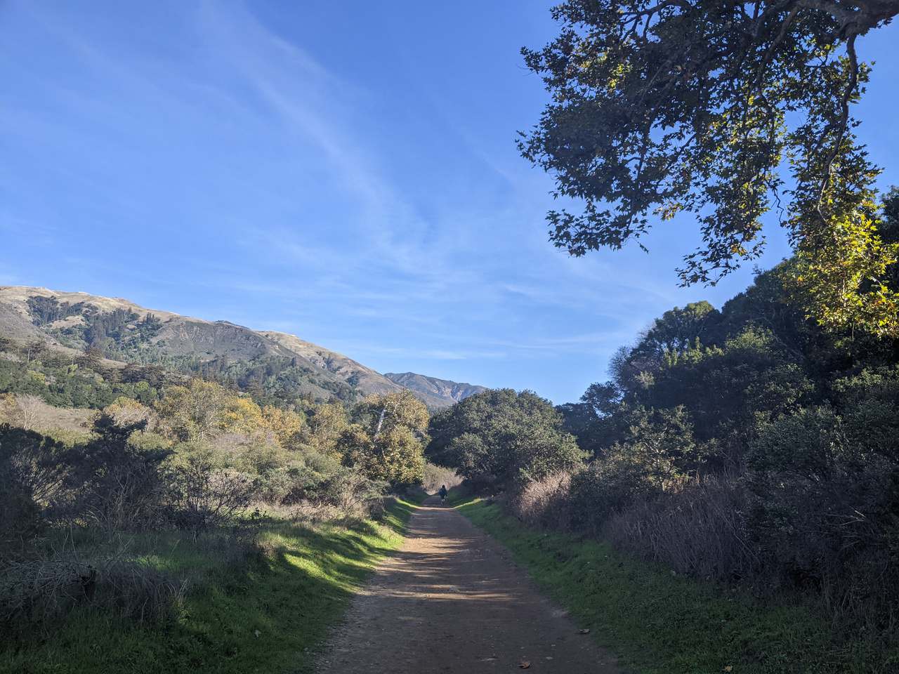 Andrew Molera State Park