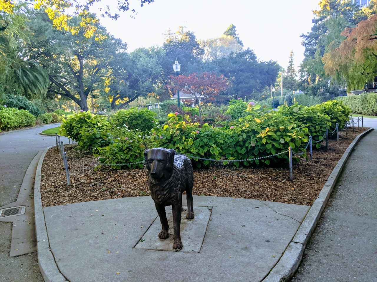Doggy statue