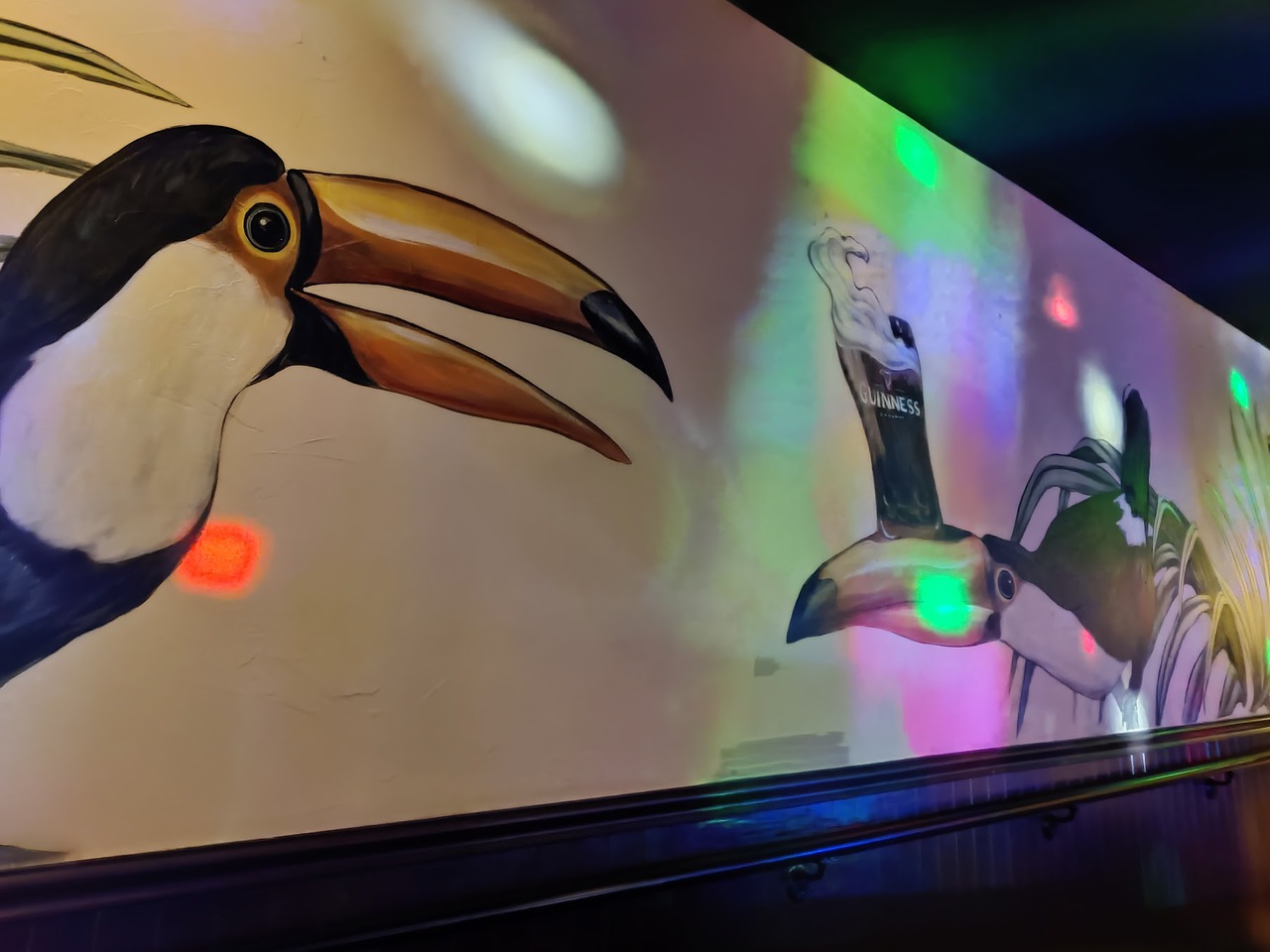 Knock-off Guinness Toucan