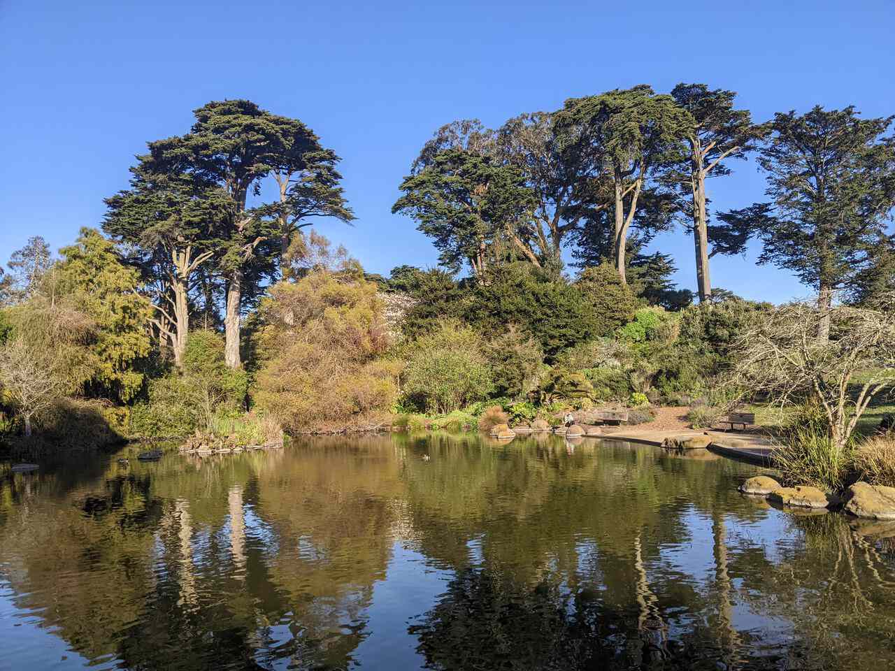 San Francisco Botanical Garden 2